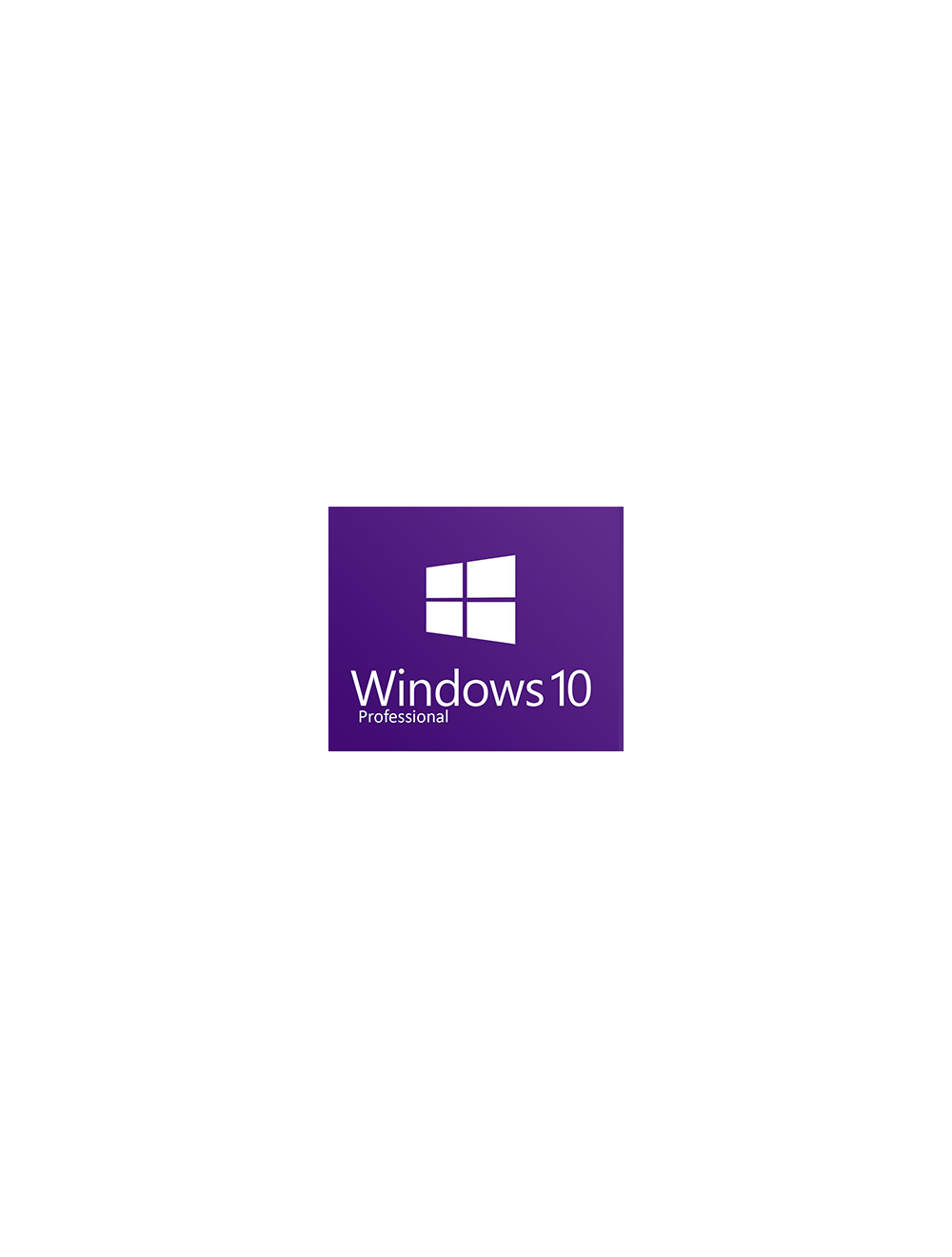 Windows 10 Professional