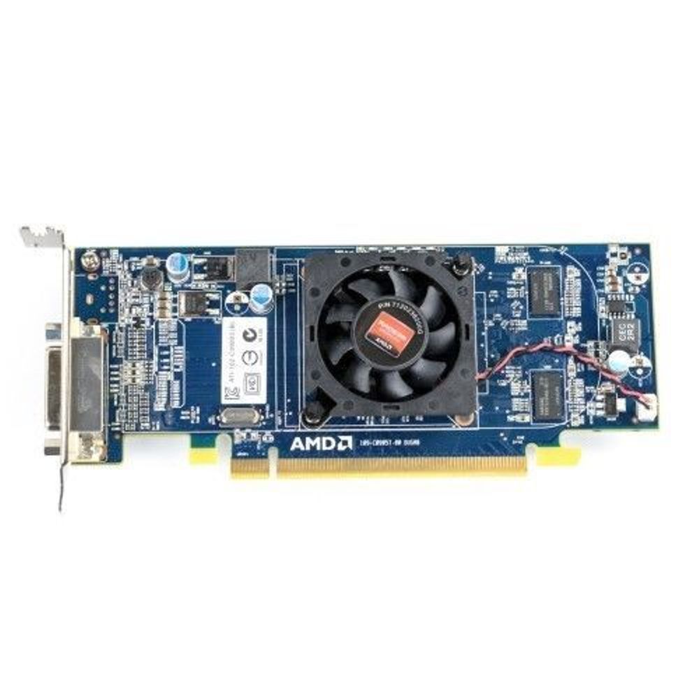 512MB Low Profile Video Card with Dual VGA