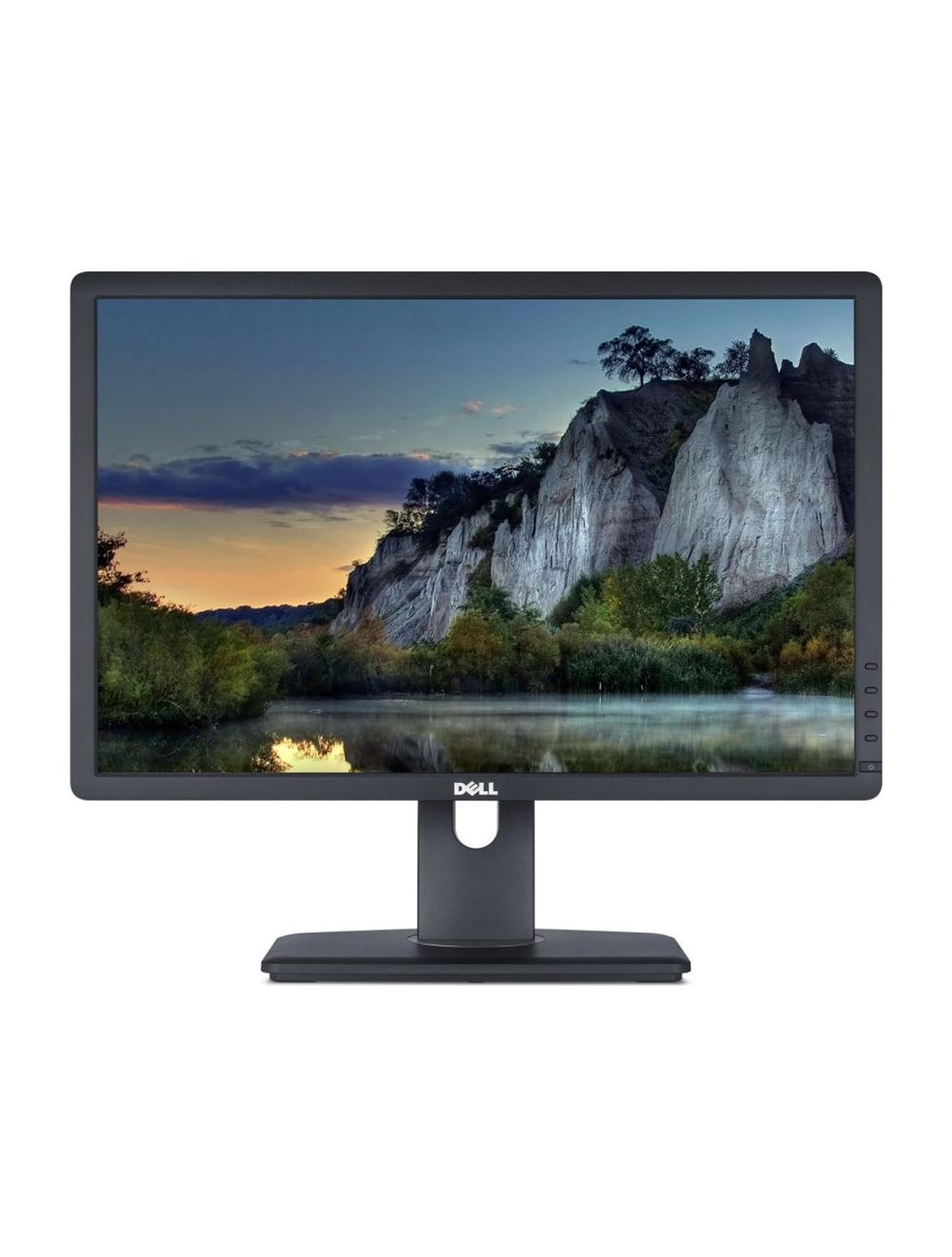 Dell 24" LCD Monitor