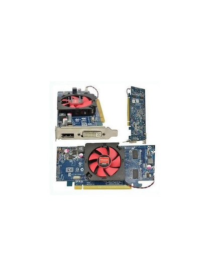 1GB Low Profile Video Card with VGA Adapter