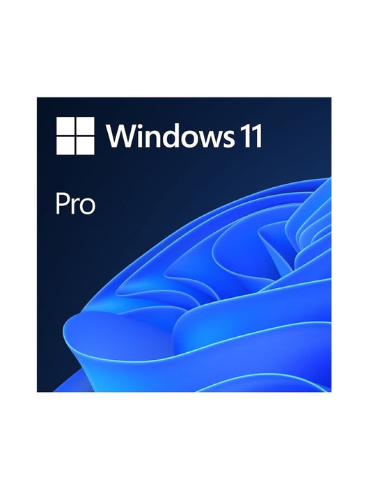Windows 11 Professional